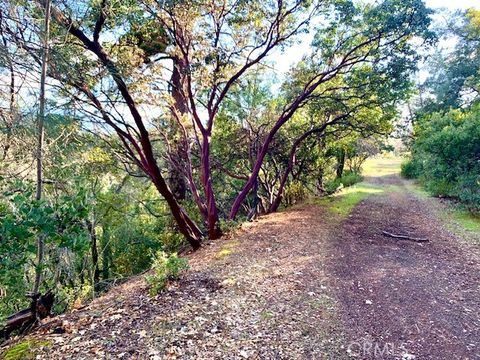 7333 Tehama Nice CA 95464