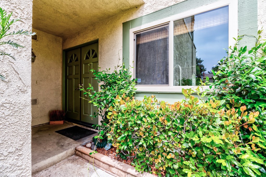 1666 Albany Court