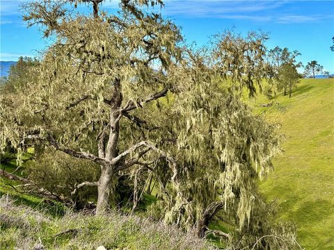 Tiny photo for 3260 Timberline drive Dr, Paso Robles, CA 93446 (MLS # NS26036947)