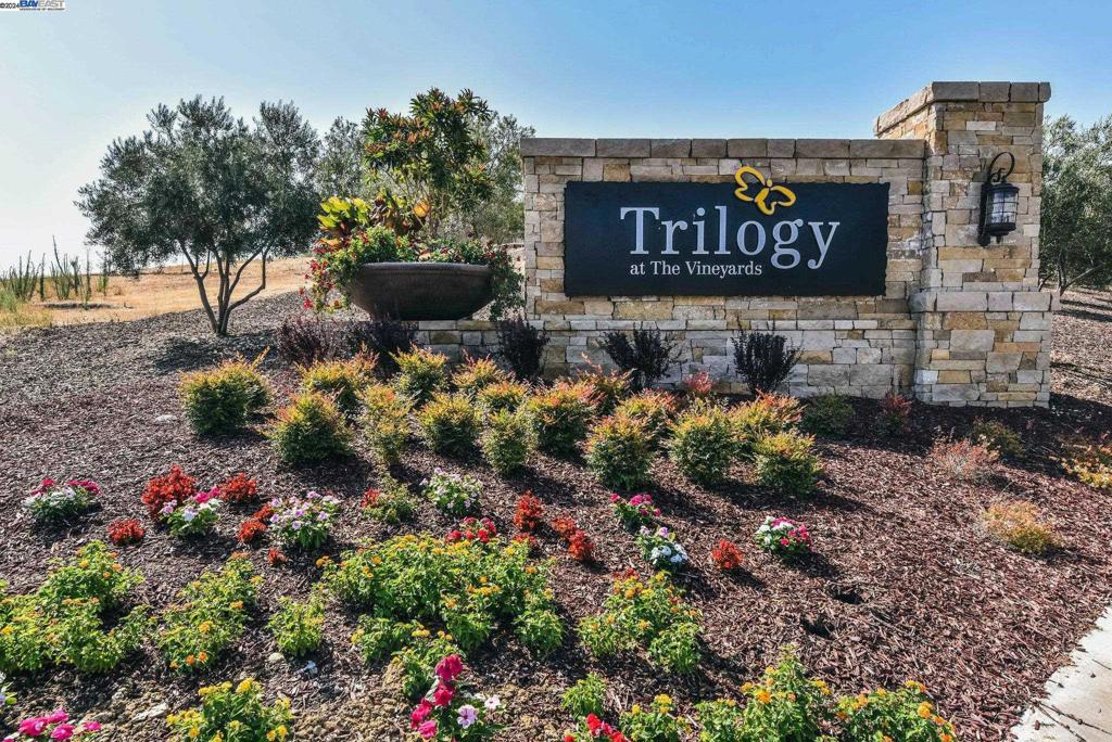 TRILOGY VINEYARDS - Residential