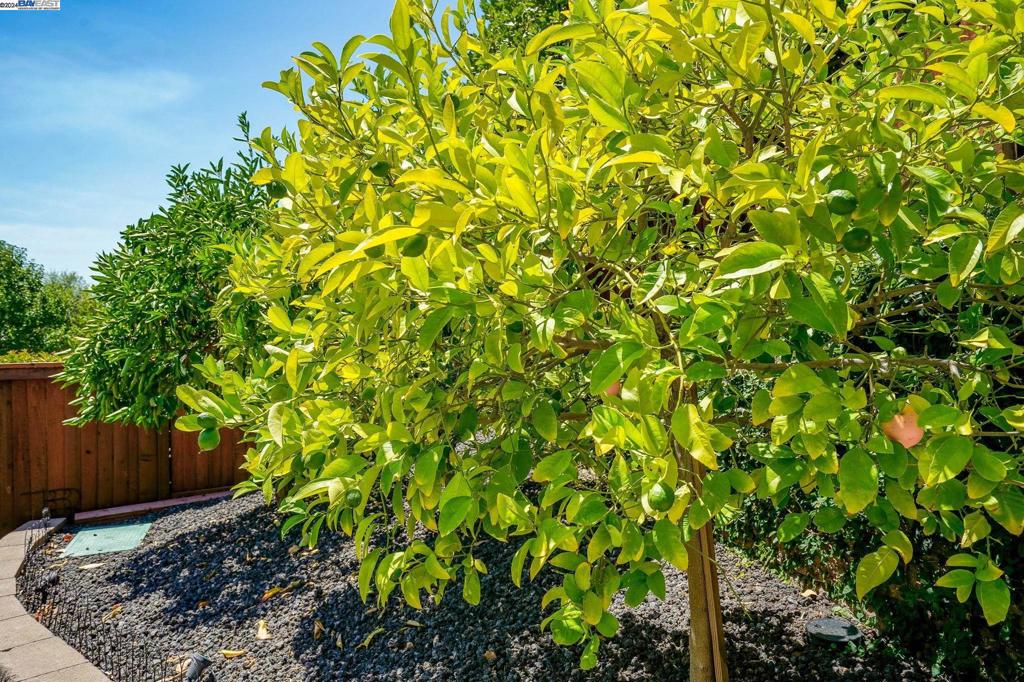 TRILOGY VINEYARDS - Residential