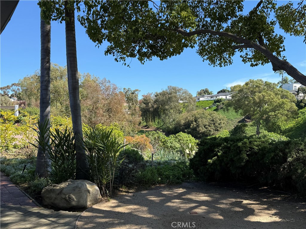 404 Calle Vista Torito