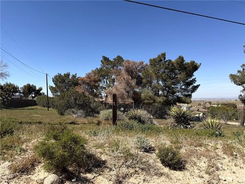 Photo of 9226 Central Rd, Apple Valley, CA 92308 (MLS # HD26052243)