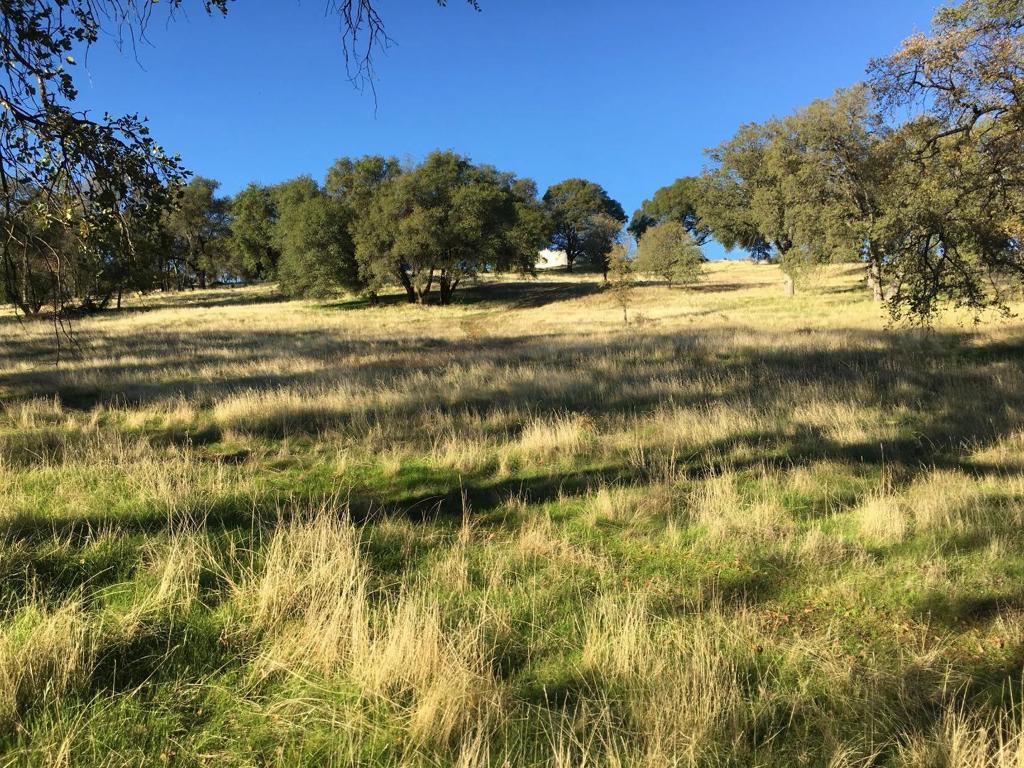1375 Shaws Flat Road