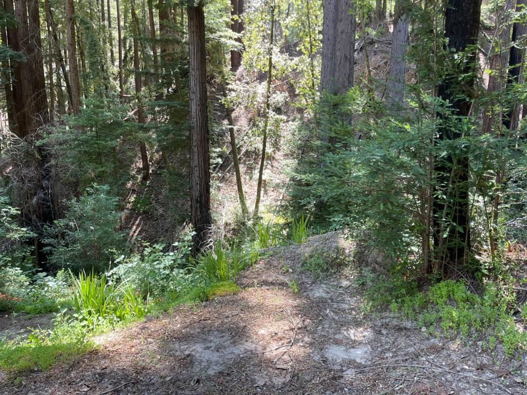 Own a quiet lot on a private road that offers a unique opportunity to create your ideal getaway among the redwoods. The hillside location provides elevated views overlooking a beautiful canopy of mature redwood trees. This is a chance to build something meaningful in a naturally beautiful location where redwood views and abundant light create an inspiring backdrop for daily life. *** Land Use planning report NOW AVAILABLE and states that rebuilding a home under Santa Cruz Countys CZU Fire Recovery Permit Program appears feasible based on current county documentation and site conditions. All required pre-application clearances have been issued and the Planning Department has confirmed that a like-for-like replacement home can be built on the existing footprint. Importantly, the County has also confirmed that the current pre-clearance applies to a new owner, allowing them to proceed without restarting the process. Pictures of the previous home are available for inspiration and reference, offering insight into how the property was previously developed and the potential for future construction. Neighbor is currently rebuilding.