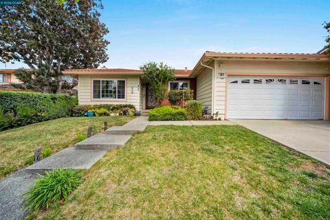 Photo of 613 Chardonnay Dr Dr, Fremont, CA 94539 (MLS # 41129430)