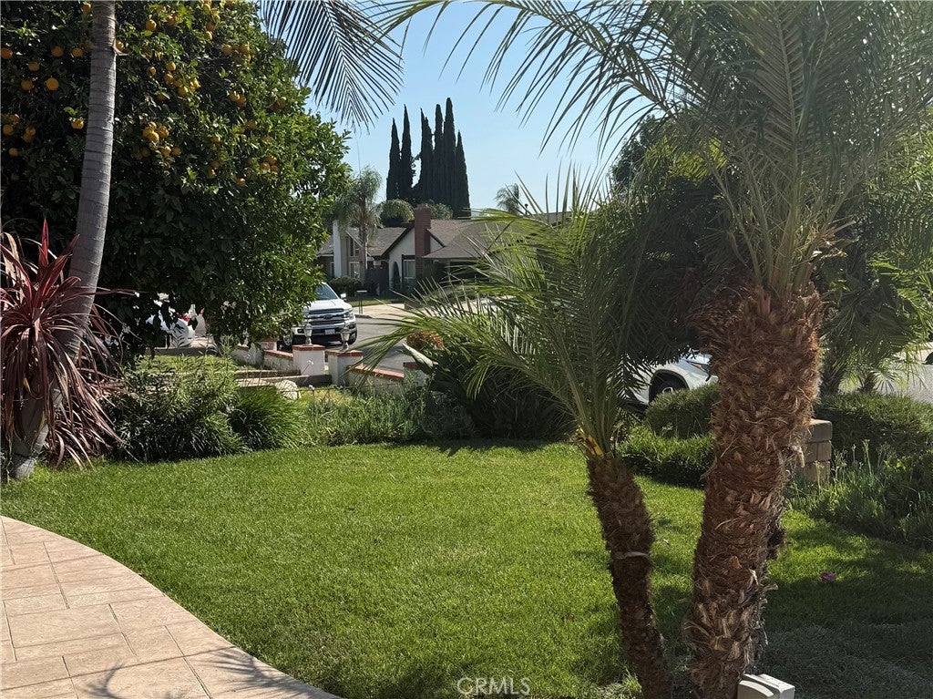 1860 Claudia Ave.