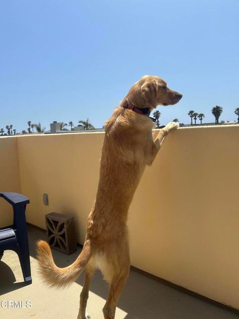 Tiny photo for 5442 Driftwood Street, Oxnard, CA 93035 (MLS # V1-34031)