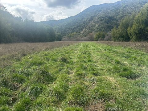 Photo of 9000 Scotts Valley Road, Upper Lake, CA 95485 (MLS # LC26040442)