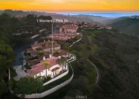 1 Monterey Pine Newport Coast CA 92657
