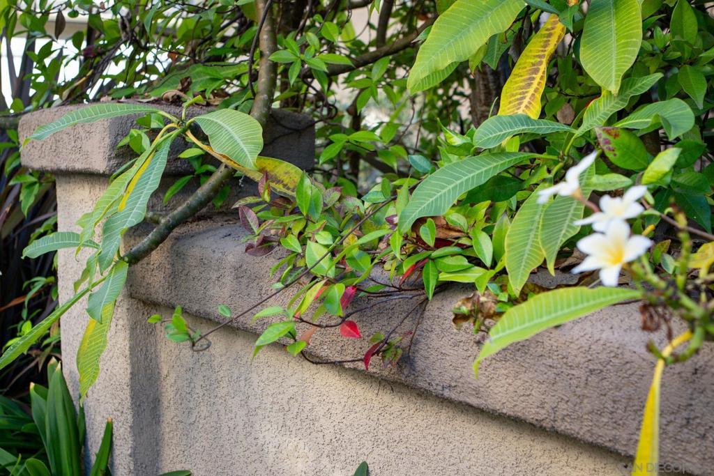 Rancho Bernardo - Residential