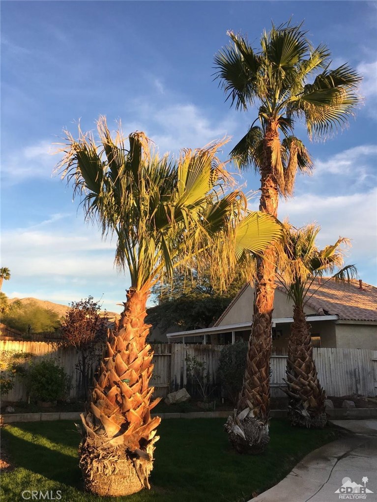 Rancho Del Oro - Residential