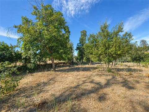 Photo of 5465 Foster RD, Paradise, CA 95969 (MLS # SN26187081)