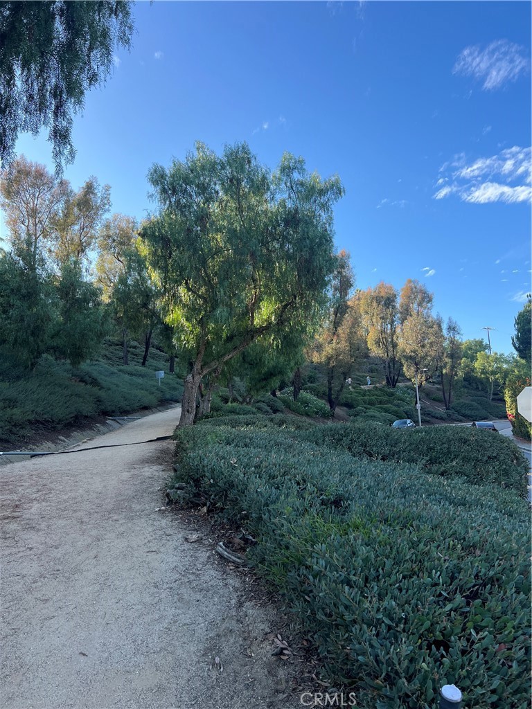 Northview (NV) - Residential Lease