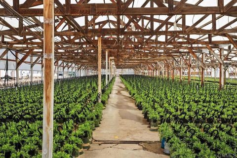 Cassou Road San Marcos CA 92069