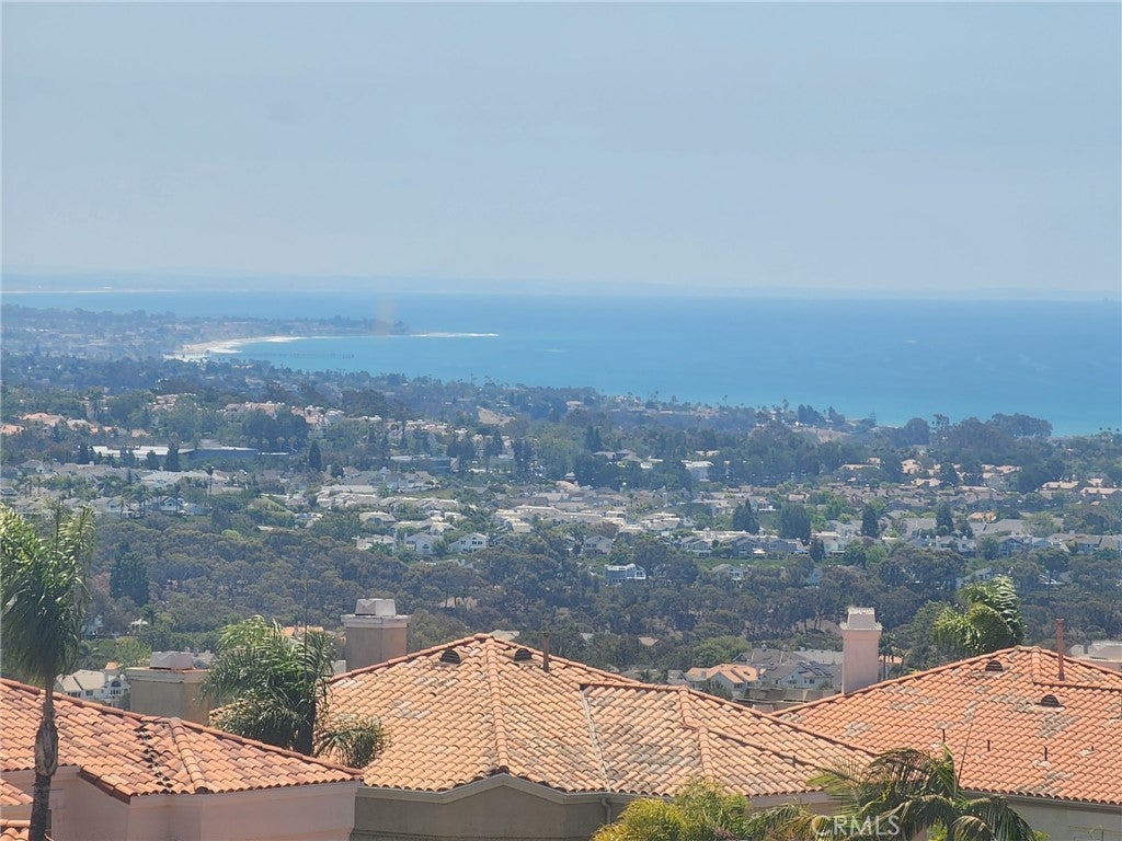 30612 La Vue, Laguna Niguel CA 92677 - Photo 44