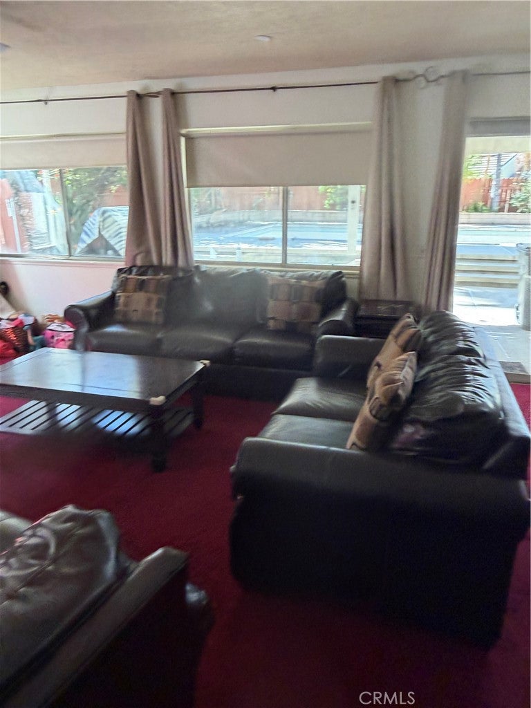 12059 Palm Vista st