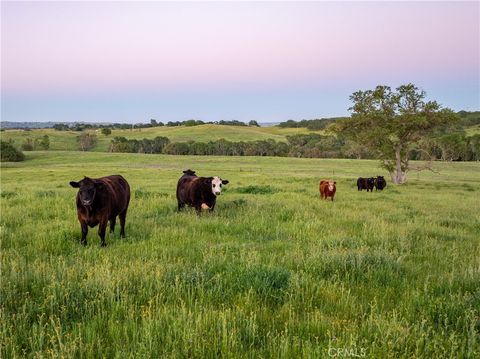 Tiny photo for 6125 El Pomar Dr, Templeton, CA 93465 (MLS # NS26061296)