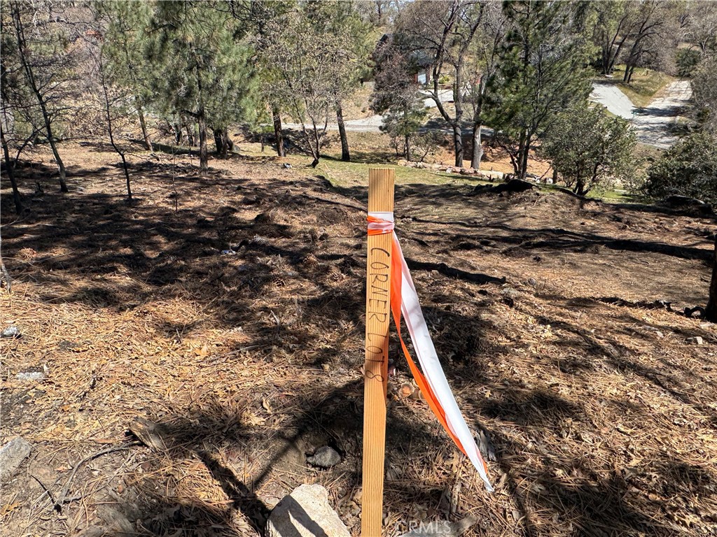 Deer Lodge Park (DLPK) - Land