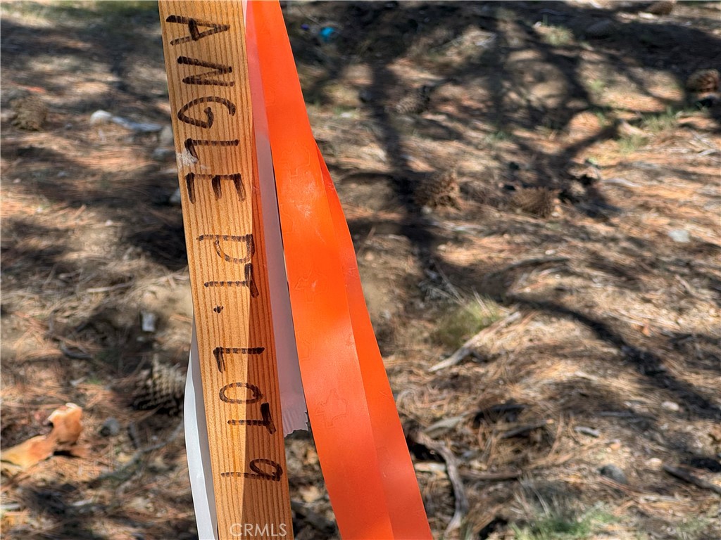 Deer Lodge Park (DLPK) - Land