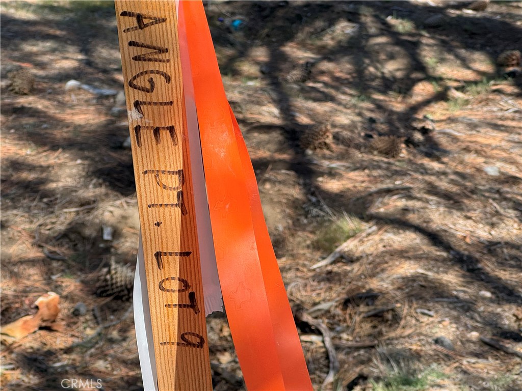 Deer Lodge Park (DLPK) - Land