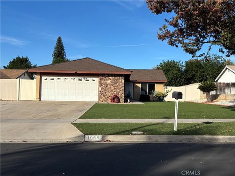 Photo of 1065 Bascomb Dr, Riverside, CA 92507 (MLS # IV25280347)