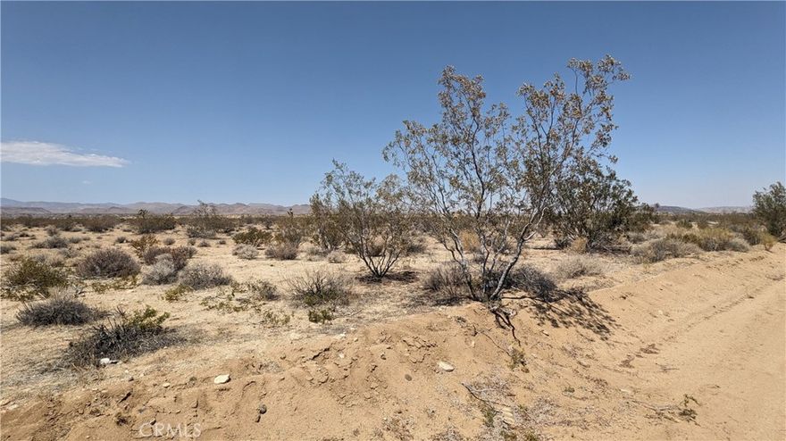 Probate Sale. Vacant Lot in Landers..Homes in the community... Easy to get to..19.12 acres / 832,867 sqft approx....Utility Poles on side of property. There is another property across the street that is also for sale at APN: 0631-061-65. This is only minutes from Joshua Tree and Yucca Valley.