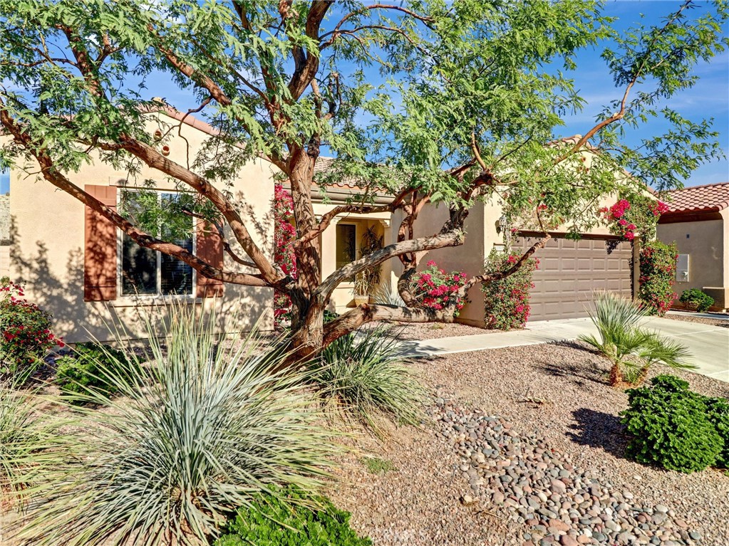 81808 Avenida Estuco