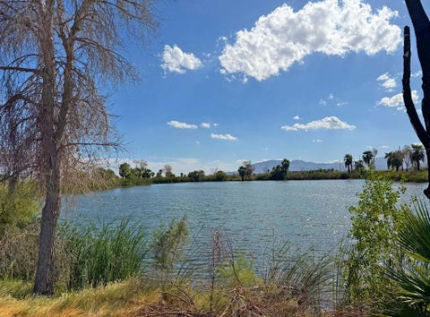 Tiny photo for 0 Buchanan Street, Mecca, CA 92254 (MLS # 219155074DA)