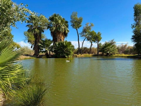 Tiny photo for 0 Buchanan Street, Mecca, CA 92254 (MLS # 219155074DA)