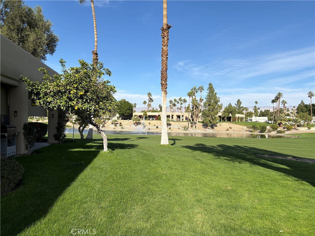 Desert Princess (Condo) (33538) - Residential