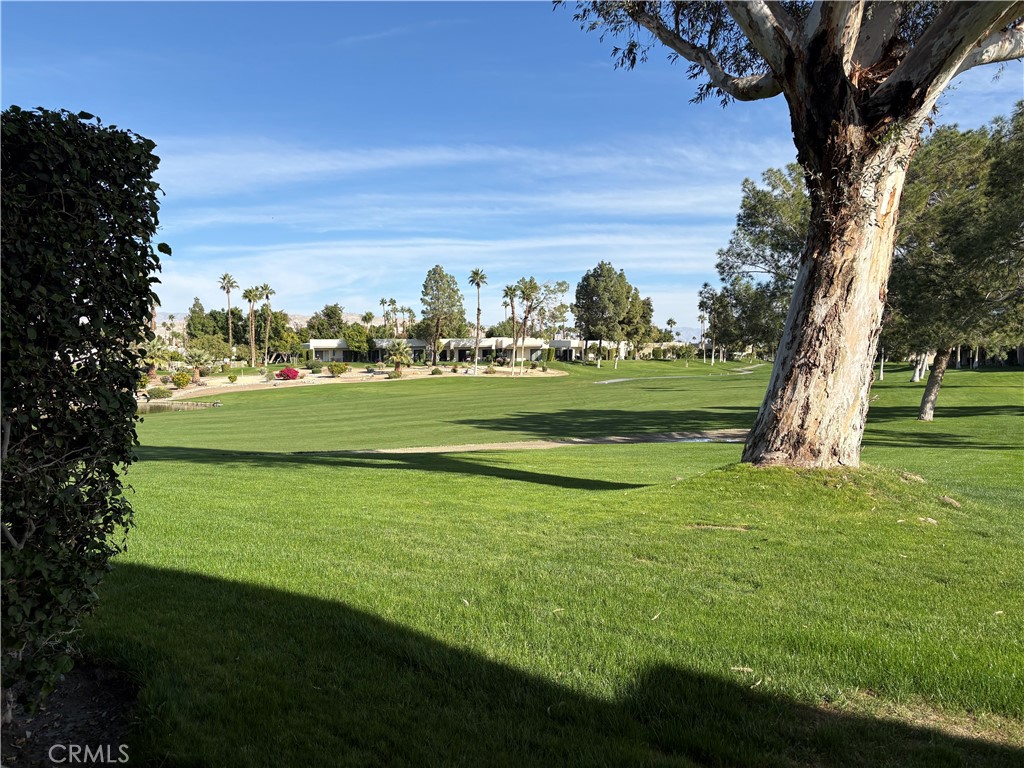 Desert Princess (Condo) (33538) - Residential