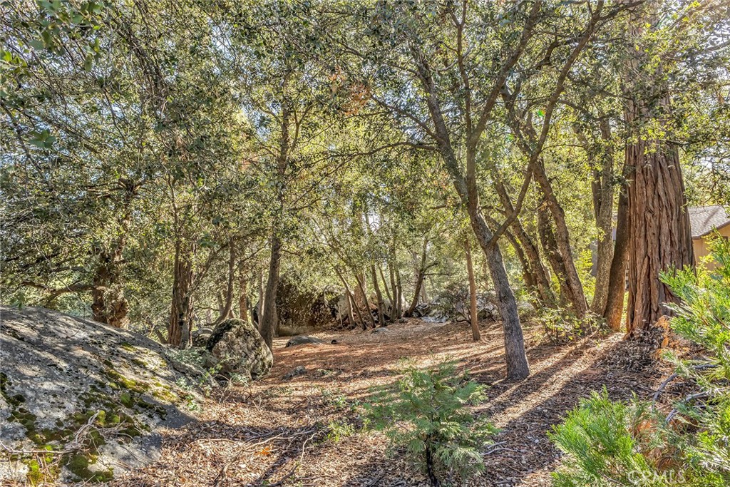 0 Jeffery Pine Rd.