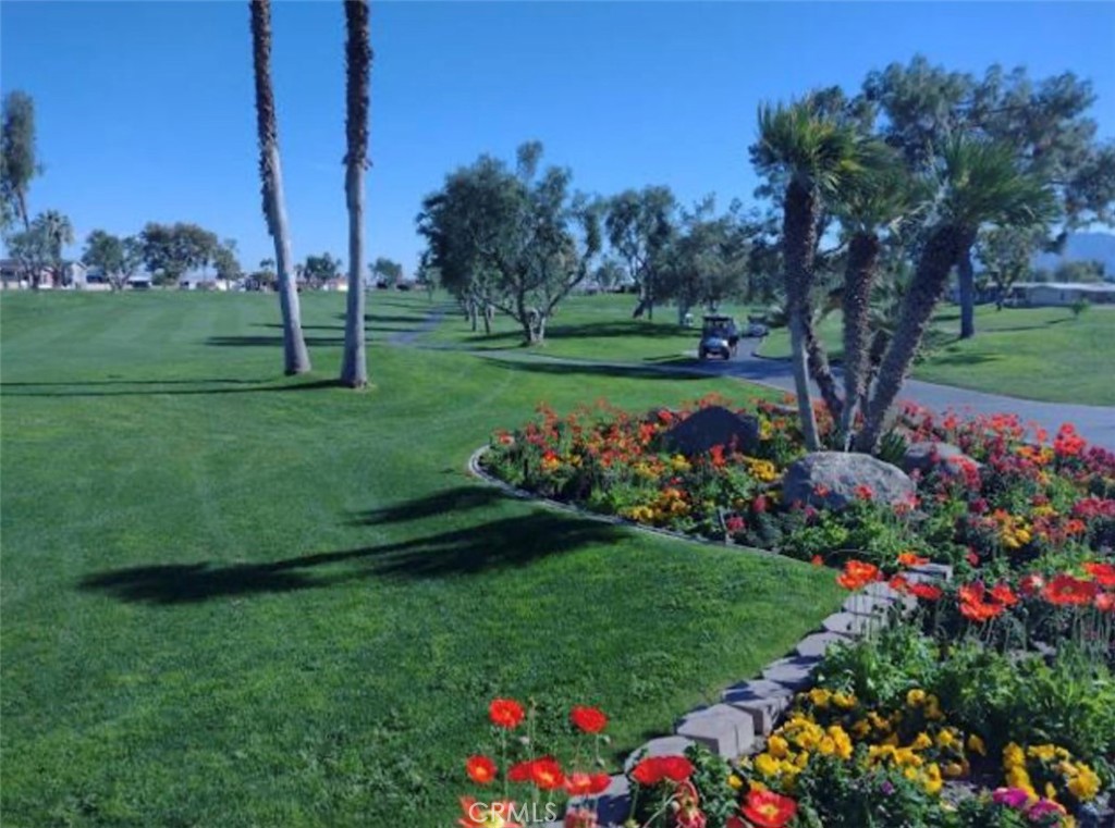 Palm Desert Greens (32254) - Manufactured In Park