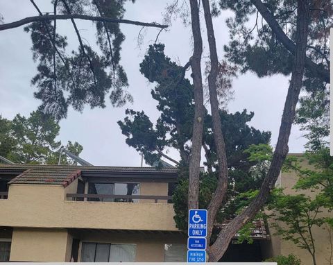 Photo of 279 Tradewinds Drive #6, San Jose, CA 95123 (MLS # ML82040612)