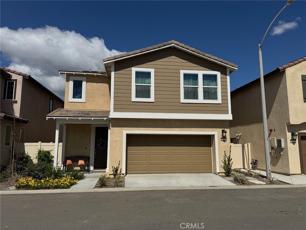 36631 Desert Tortoise