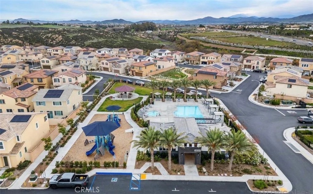 36631 Desert Tortoise