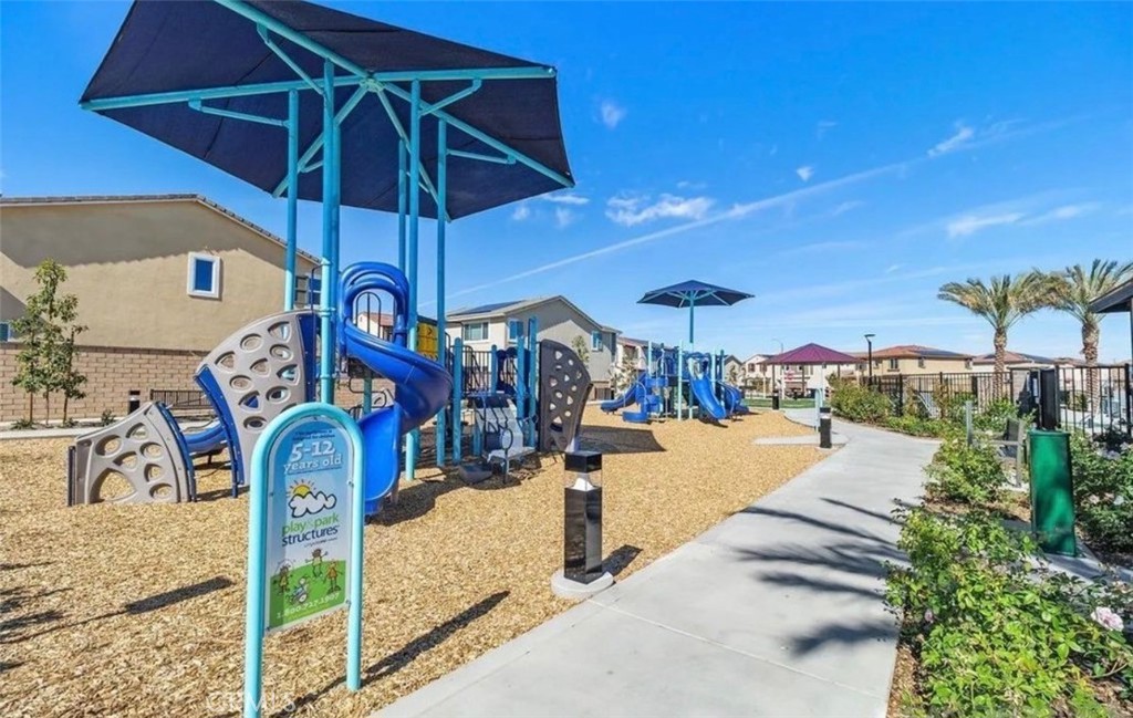 36631 Desert Tortoise