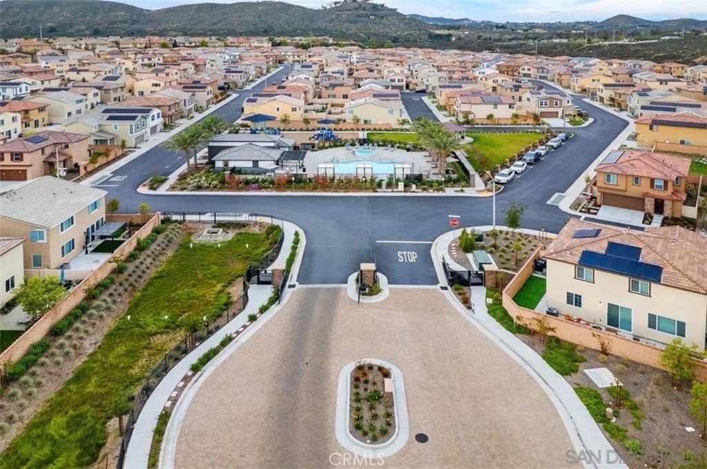 36631 Desert Tortoise