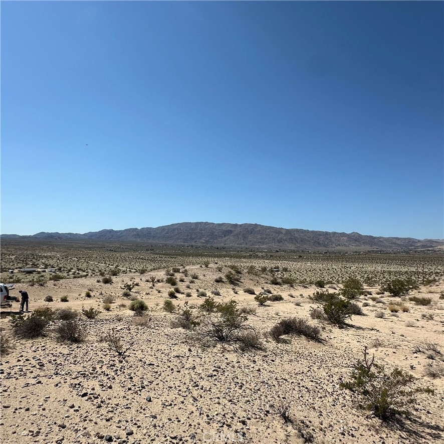 1234 Buena Vista Drive
