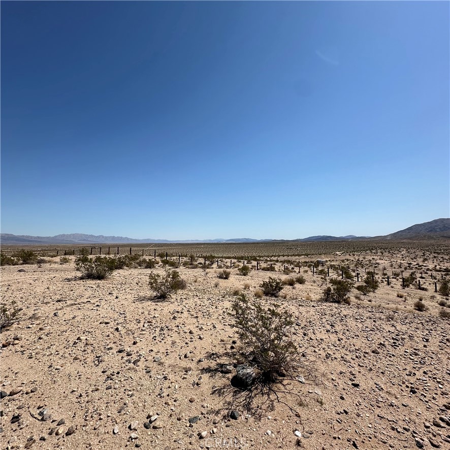 1234 Buena Vista Drive