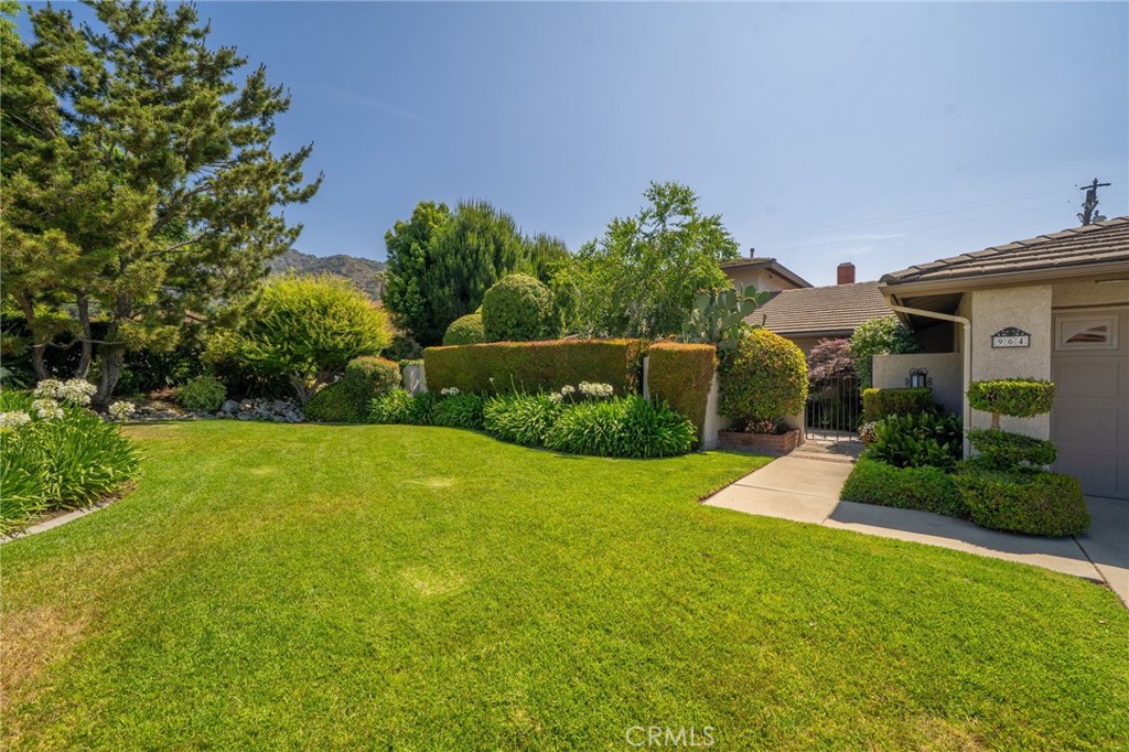 964 N Entrada Way