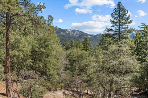 Tiny photo for 52910 Cedar Dr Dr, Idyllwild, CA 92549 (MLS # 260022211SD)