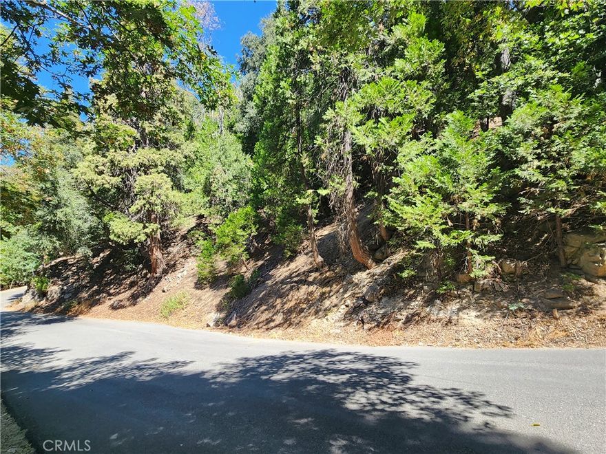 Beautifully treed San Moritz area lot with approx. 7,166 SQ FT of lush woodsy setting featuring a lovely ridgeline view! Great feeling of privacy yet just a bit over a mile to downtown Crestline Village shopping,dinning and entertainment. Lovely Lake Gregory is also nearby with miles of trails, swimming,boating,kids play areas, two dog parks, water slides and more.  All utilities (water,sewer,natural gas,electric,high speed internet,phone,cable) are conveniently located at or near the street. No HOA or Mello Roos. Don't miss out on this great serene mountain lot at an affordable price...make your offer today!