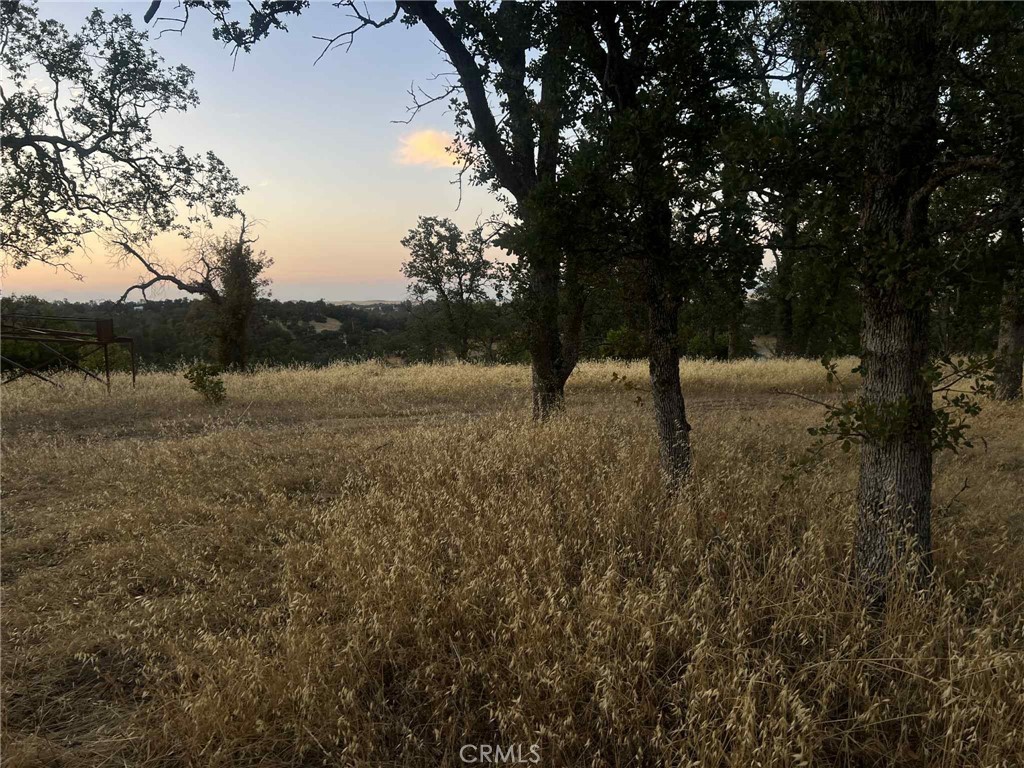 Looking for solitude? This could be it, privacy with beautiful sunrises and sunsets. Start your morning with a cup of coffee and beautiful views of the mountains all around you, including Mt. Lassen and Mt. Shasta. No improvements, living off-grid would work well or build to suit your needs.