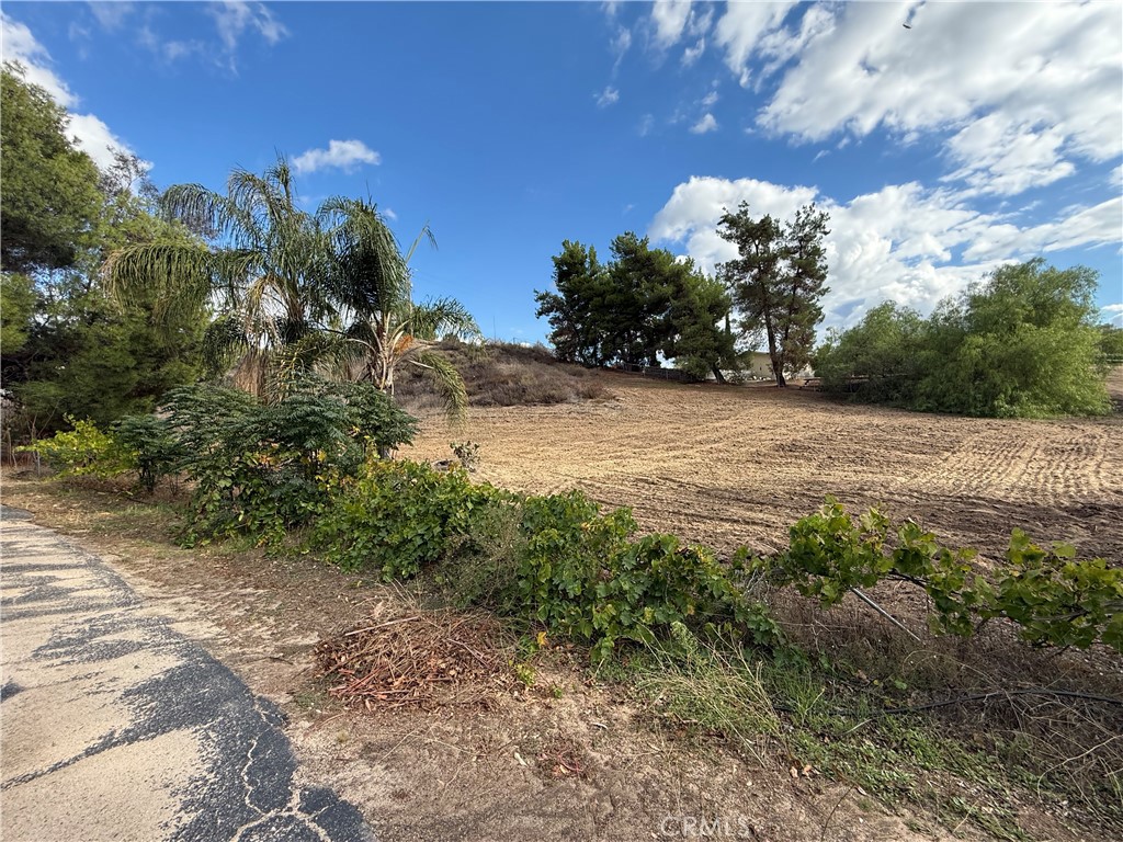 41805 William Hawthorne