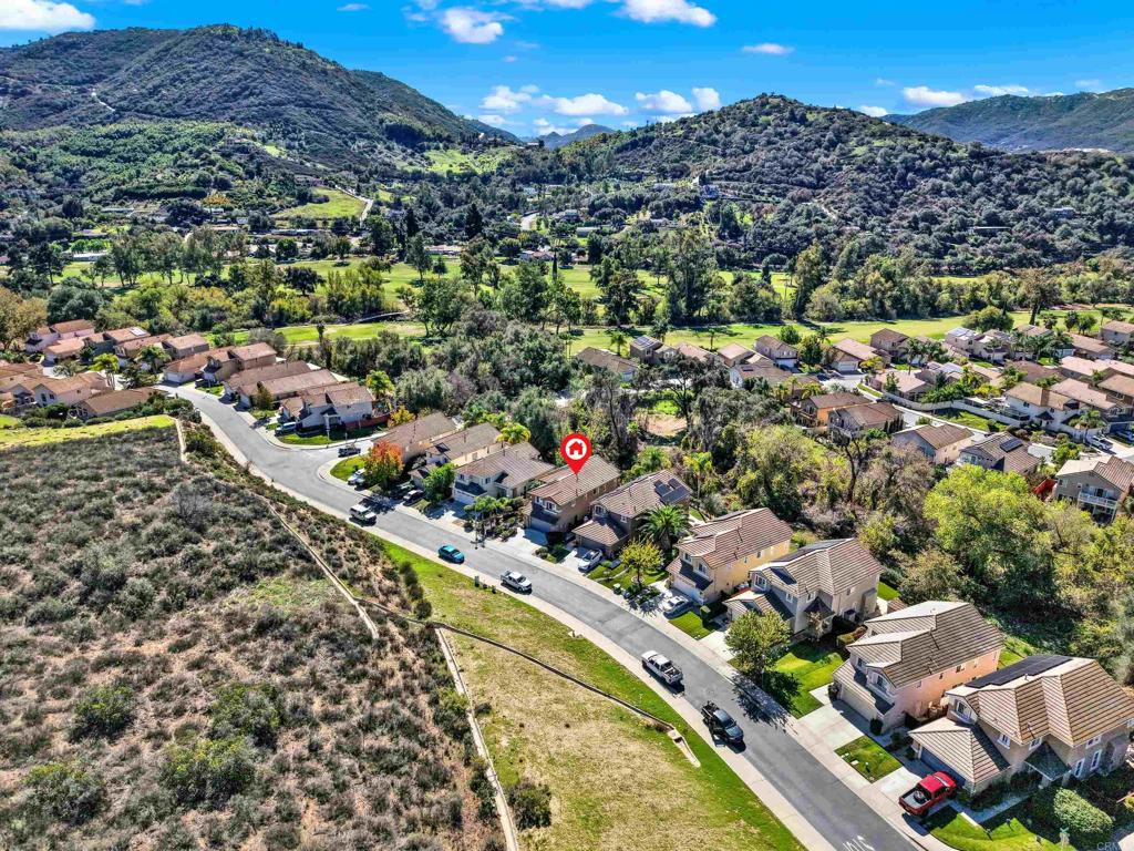 29626 Platanus Drive