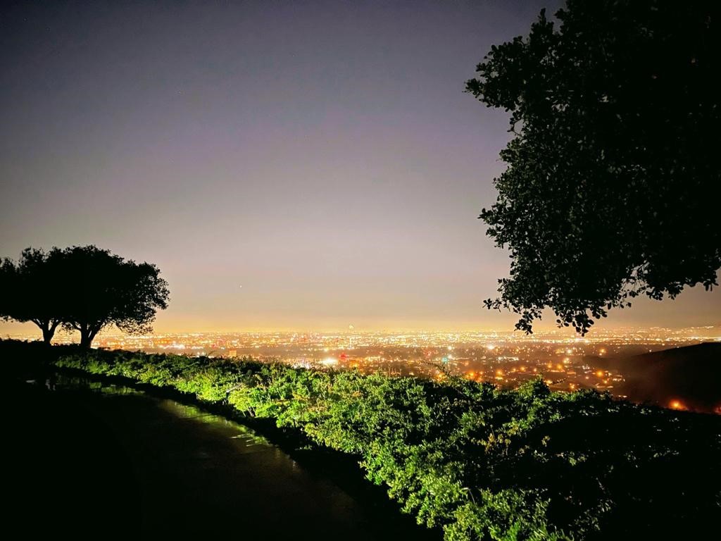 Amberhill (AMBH) - Residential Lease