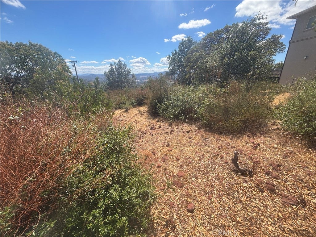 15909 Little Peak