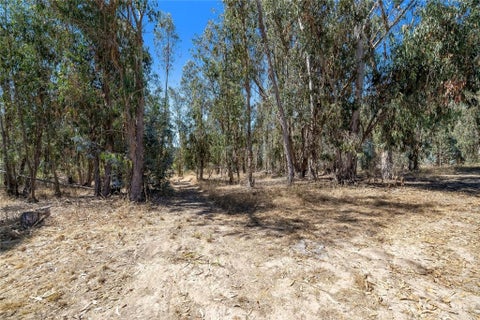 Tiny photo for 1831 Viejo Road, Arroyo Grande, CA 93420 (MLS # PI26175452)